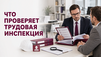 Что проверяет трудовая инспекция при плановой проверке